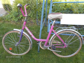 BIC LIBERTA 24 PINK.5