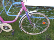 BIC LIBERTA 24 PINK.7