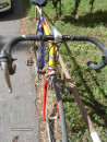 BIC BASSO.10