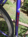 BIC BASSO.14