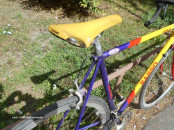 BIC BASSO.15