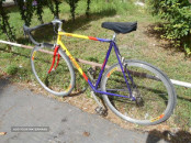 BIC BASSO.2