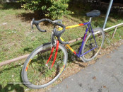 BIC BASSO.3