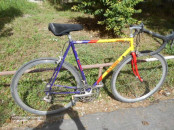 BIC BASSO.5