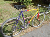 BIC BASSO.6