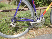 BIC BASSO.8