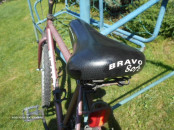 BIC SCOTT.7