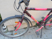 HORSKY LILA.3