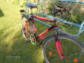 HORSKY LILA.10