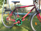 HORSKY LILA.1