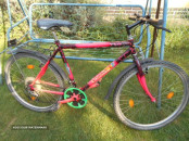 HORSKY LILA.4