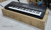 KorgPa700aaaab